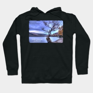 Tree at Firkin Point, Loch Lomond, Scotland Hoodie